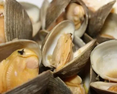 Easy And Flavorful Steamed Clams And Mussels Recipe