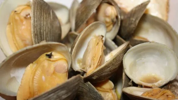 Easy and Flavorful Steamed Clams and Mussels Recipe