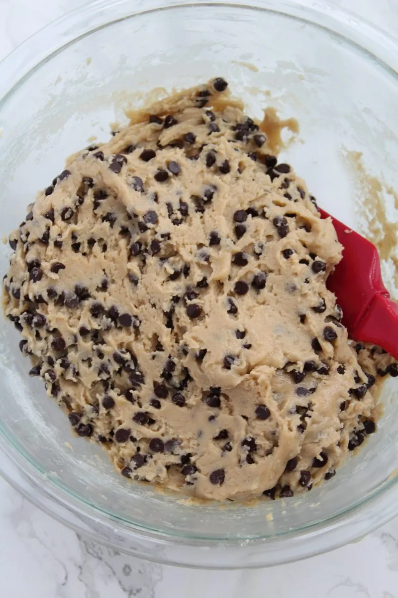 Egg Free, No Bake Cookie Dough For