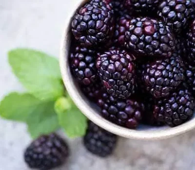 Focus On Food: Blackberries