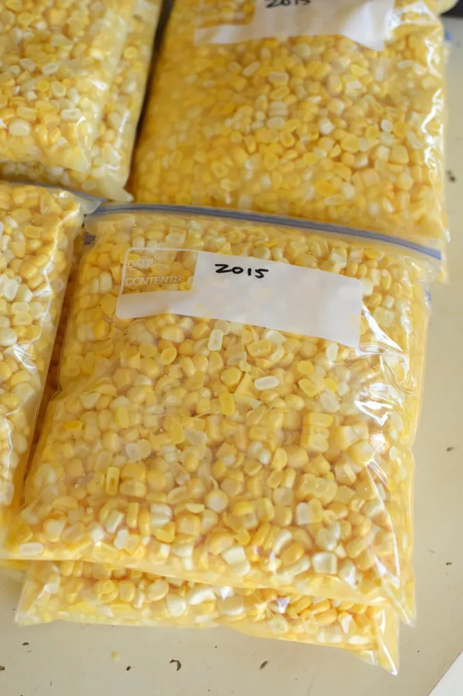 Freezer Corn