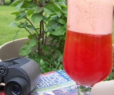 Fresh Lime Soda With Berries