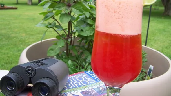 Fresh Lime Soda With Berries