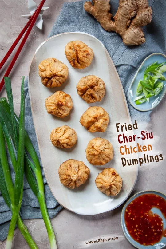 Fried Chicken Dumplings