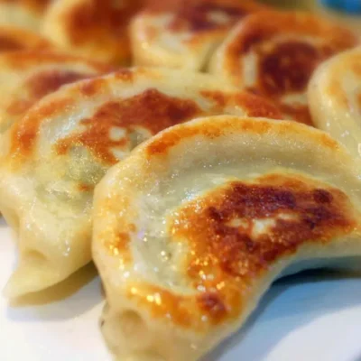 Fried Pork Dumplings