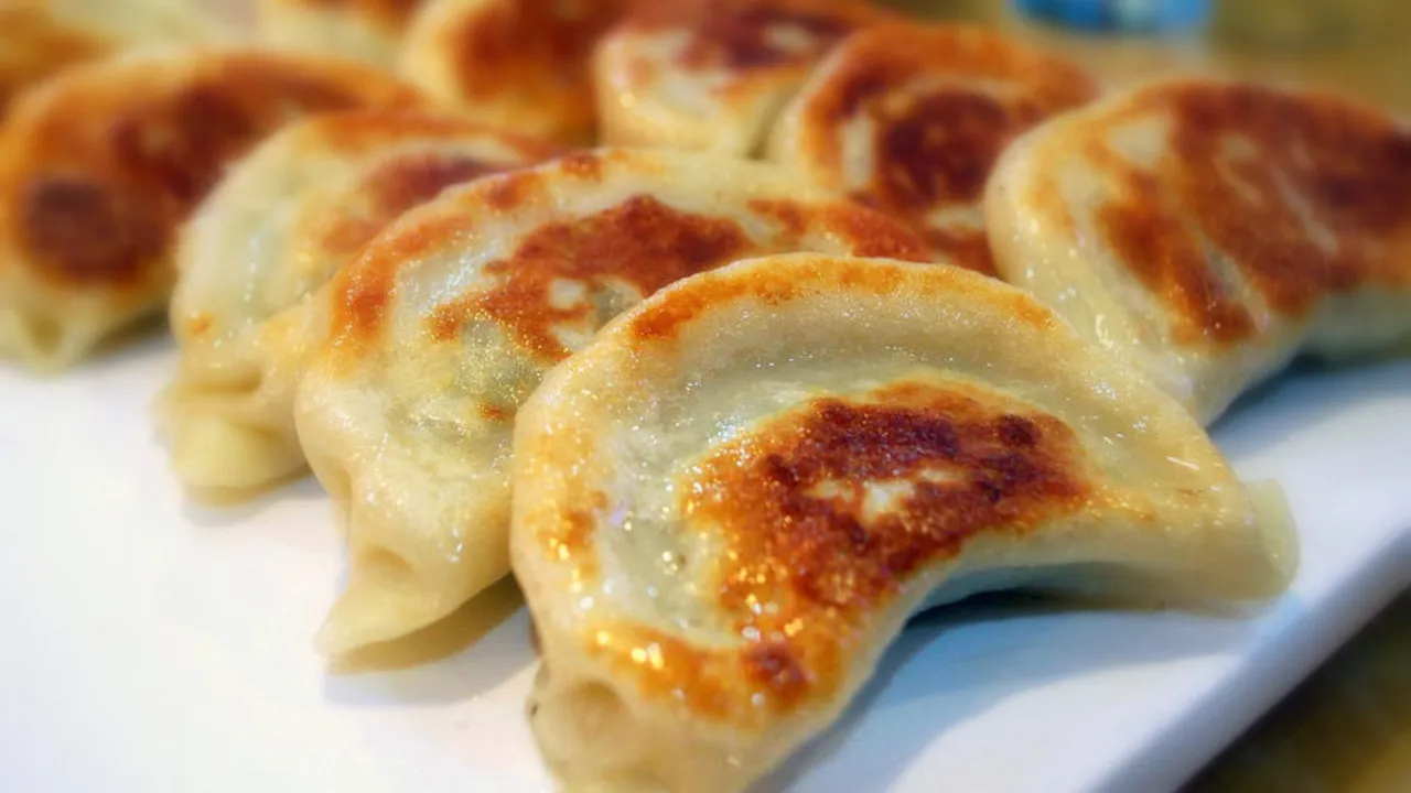 Fried Pork Dumplings