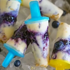 Frozen Berry Pudding Pops