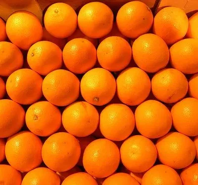 Frozen Oranges