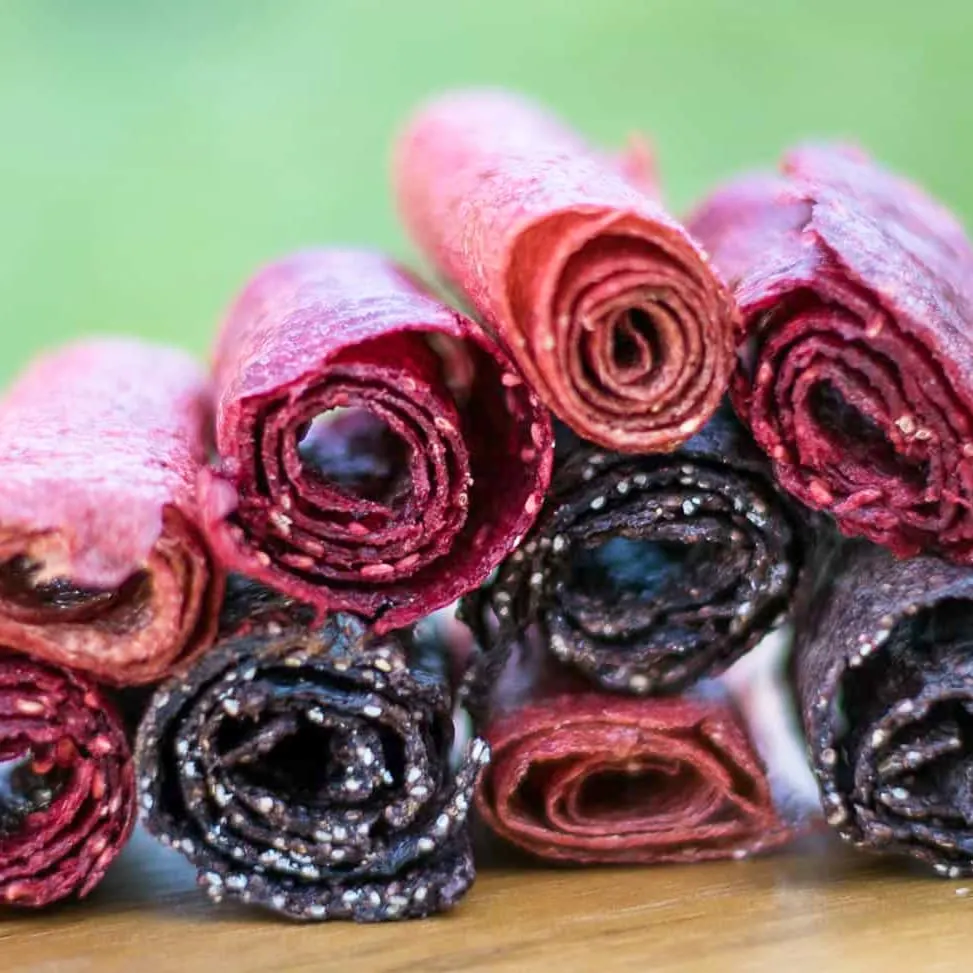 Fruit Leather