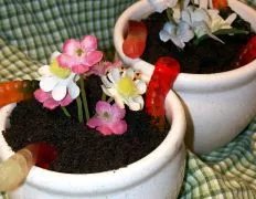 Fun & Easy Chocolate Dirt Cake