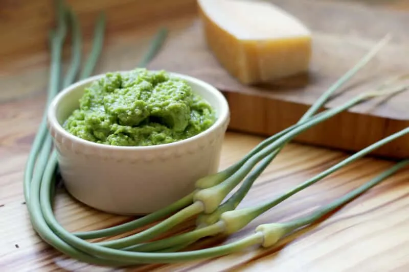 Garlic Scape Basil Pesto