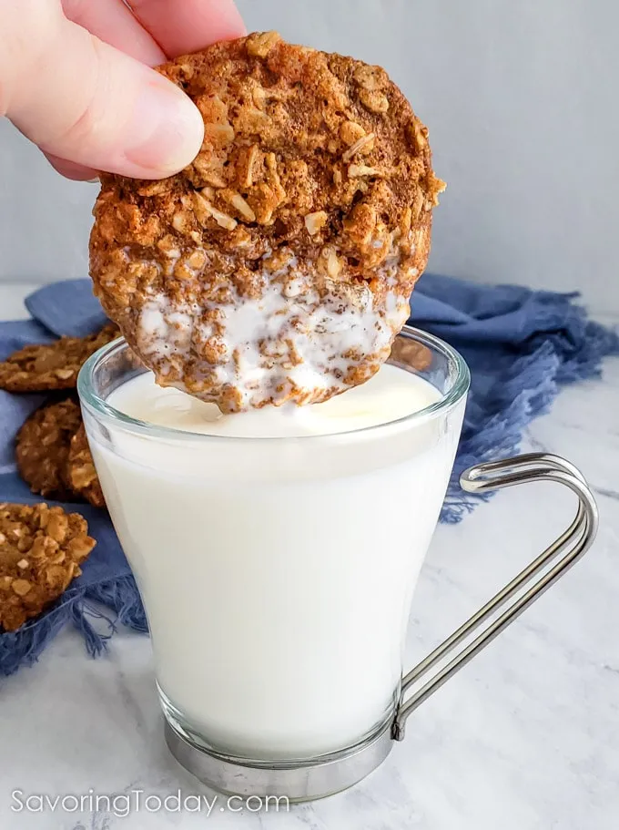 Ginger Oat Cookies No White Sugar