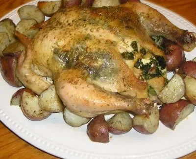 Greek Style Roasted Chicken