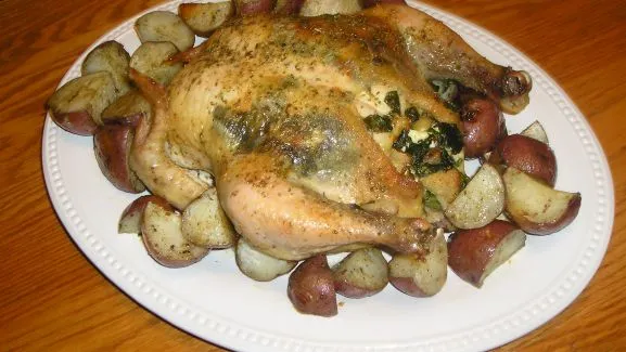 Greek Style Roasted Chicken