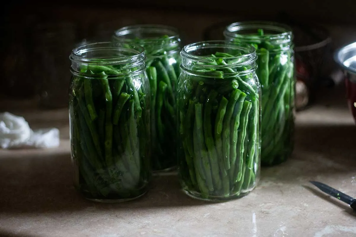 Green Beans Canning Raw Pack