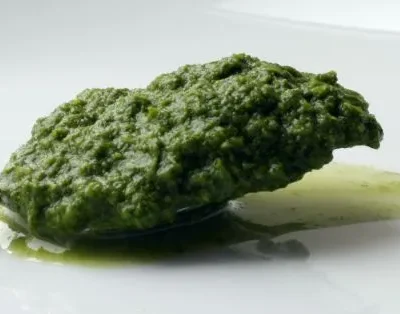 Green Chutney Indian Mint - Cilantro