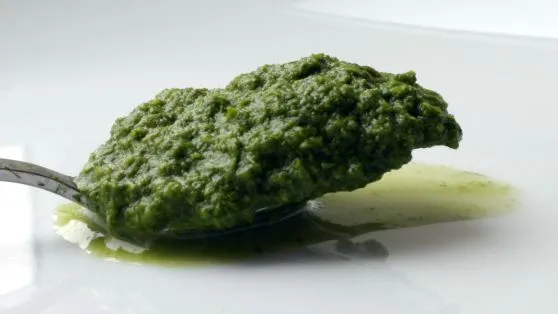 Green Chutney Indian Mint – Cilantro