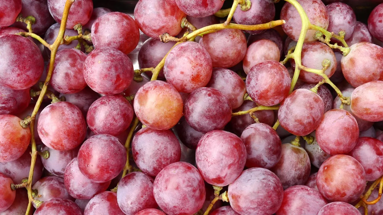 Grilled Grapes