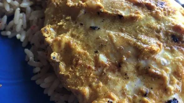 Grilled Indian- Style Curry Yogurt Chicken