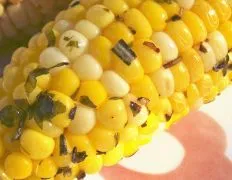 Herbed Corn On The Cob Grilled In Foil