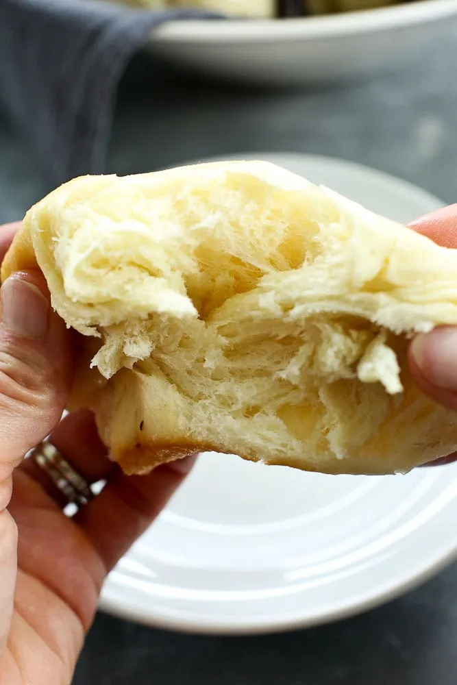 Holiday Dinner Rolls Bread Machine