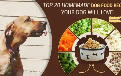 Homemade Dog Food