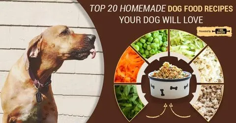 Homemade Dog Food