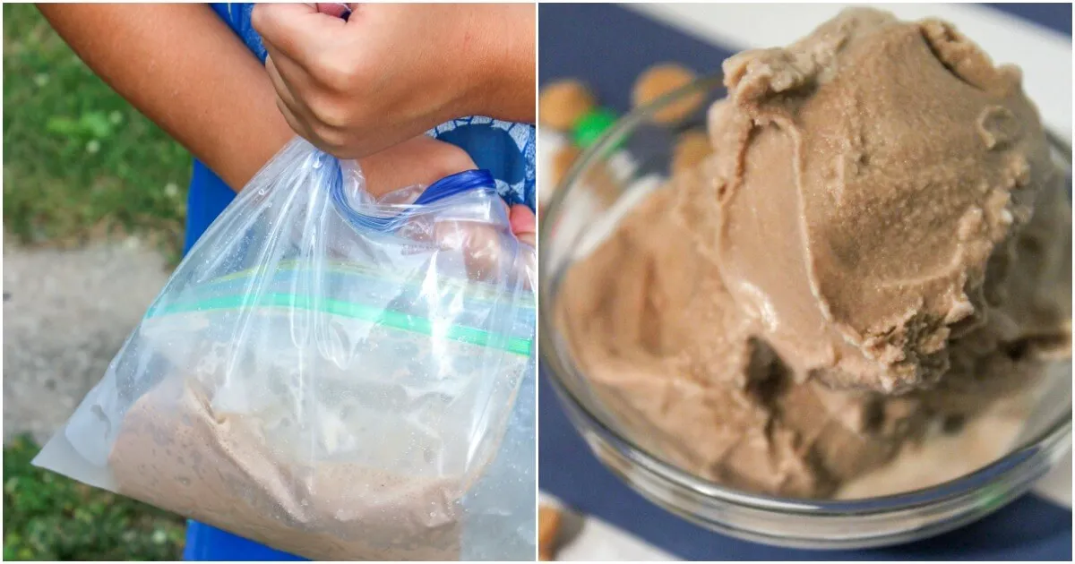 Homemade Ice Cream…In A Bag