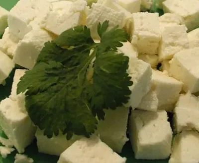 Homemade Paneer Panir - Indian Cheese