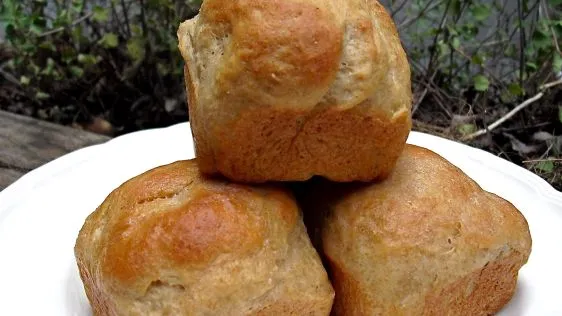 Honey Whole Wheat Dinner Rolls with Greek Yogurt