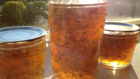 Hot Pepper Garlic Jelly