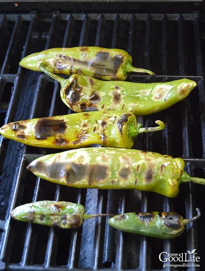 How To Roast Peppers Or Fresh Chiles, Any Type