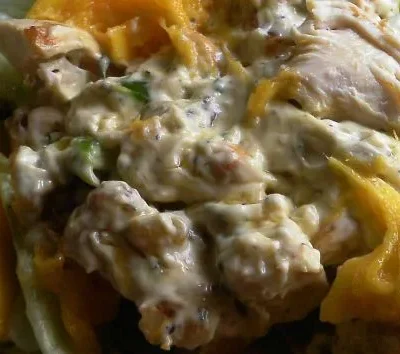 Indian Chicken Mango Salad