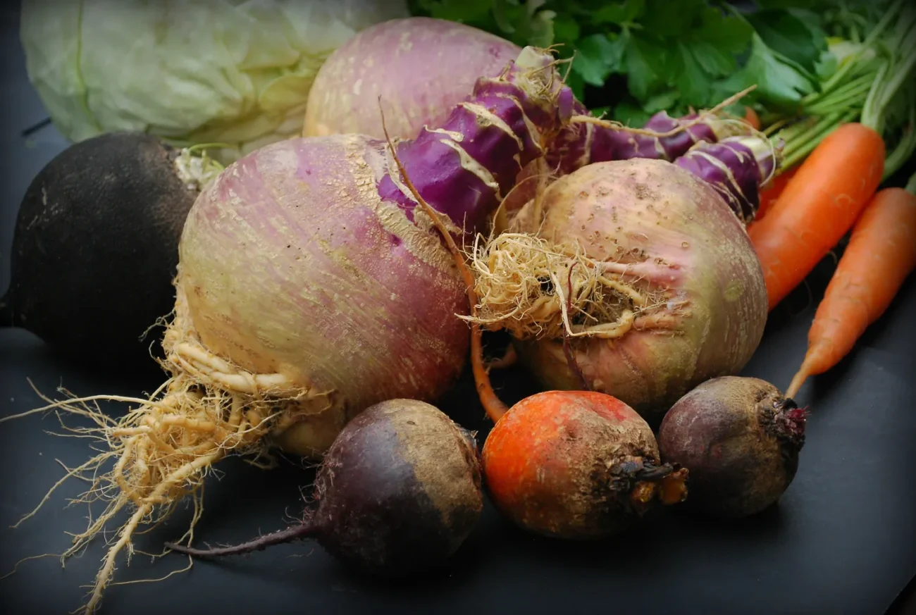 Irish Rutabagas Swedes Or Yellow Turnips