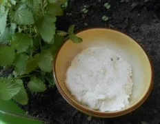 Jben -Moroccan Fresh Cheese