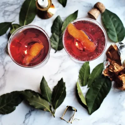 Jolly Cranberry Juice Sangria