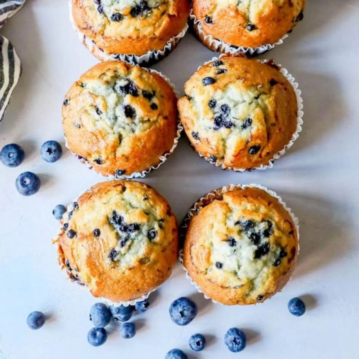 Jumbo Large Top Chocolate Chip Or Blueberry