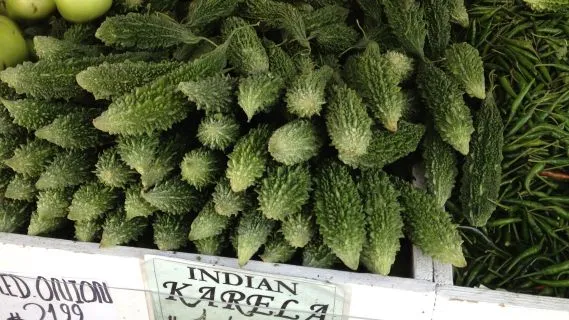 Karela Bitter Melon Or Gourd