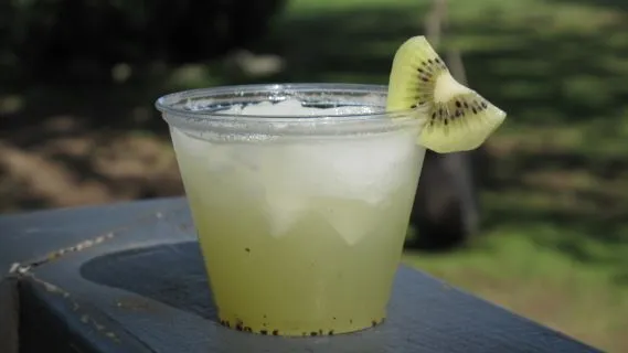 Kiwi Lemonade Spritzer