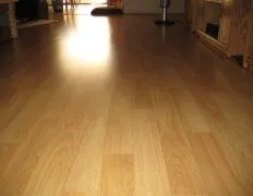 Laminate Floor Cleaner