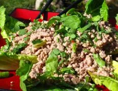 Larb Chicken