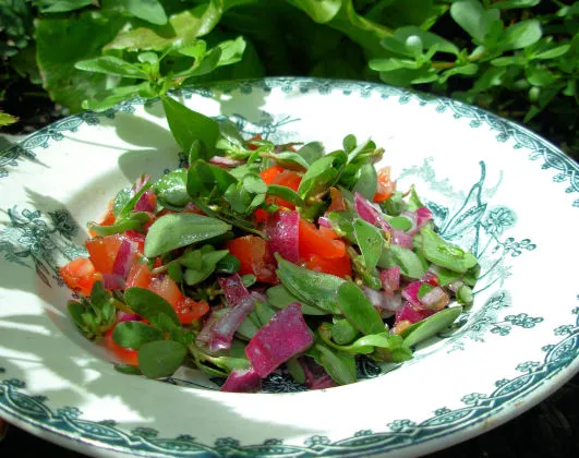 Lemon and Olive Oil Drizzled Wild Purslane Salad Recipe