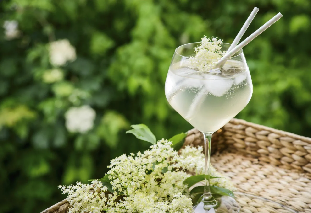 Lime And Elderflower Martini