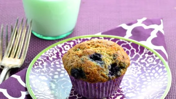 Low Fat Blueberry Muffins With