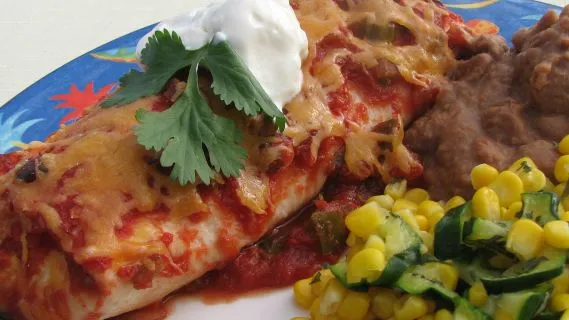 Low Fat Chicken Enchiladas With High Fat Taste