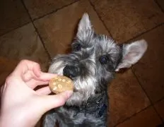 Luckadoodles Dog Treats