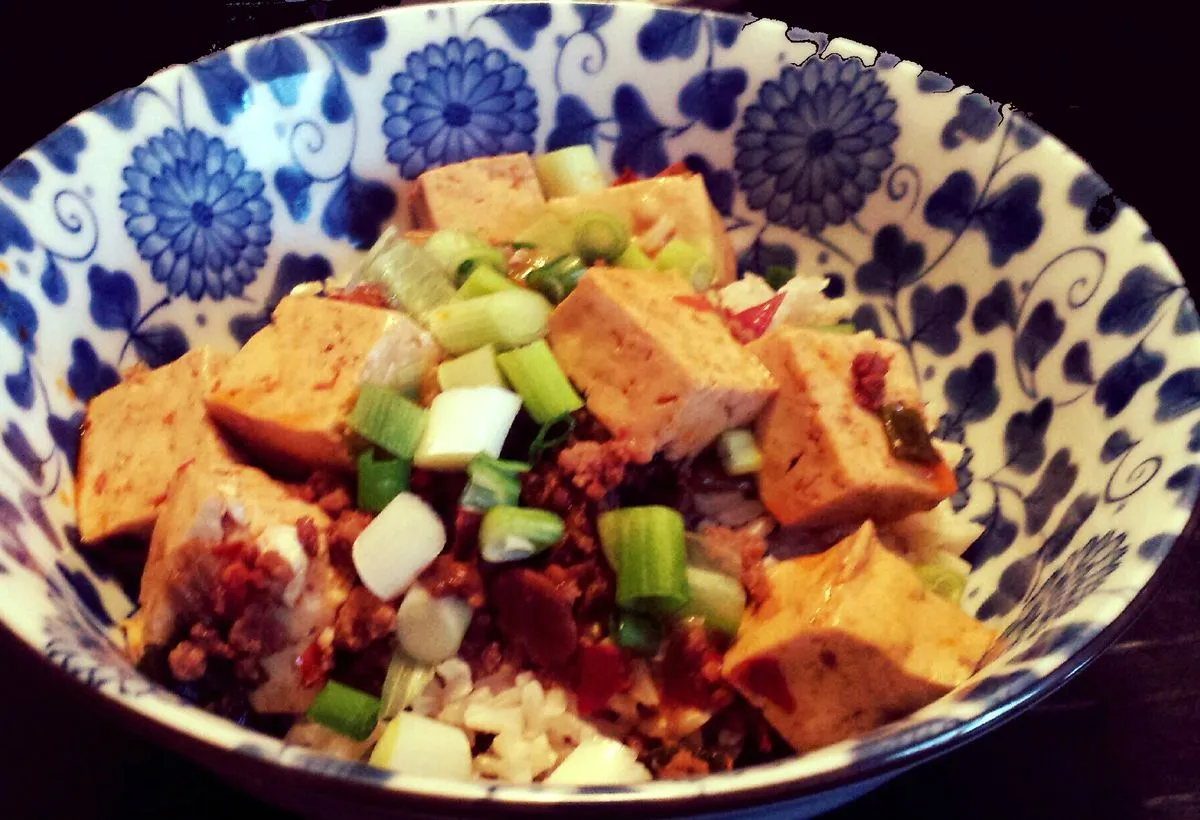 Ma Po Tofu