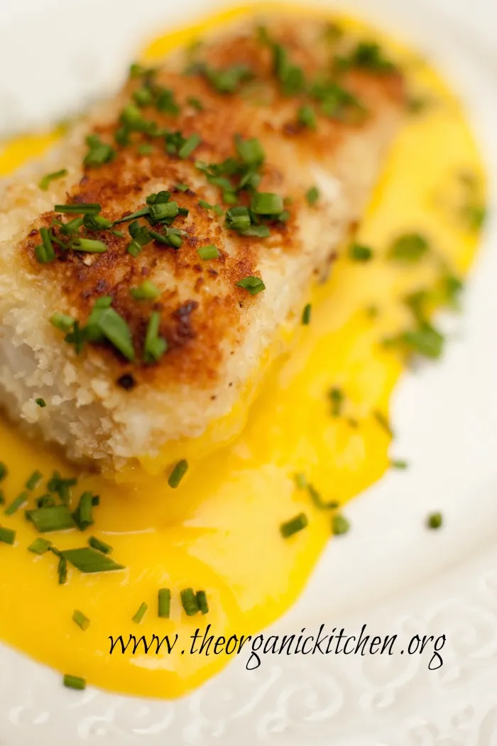 Macadamia Crusted Halibut With Mango And