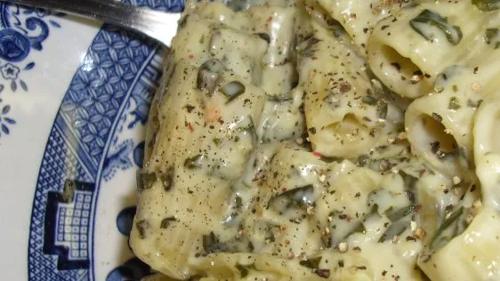 Macaroni With Spinach Sauce