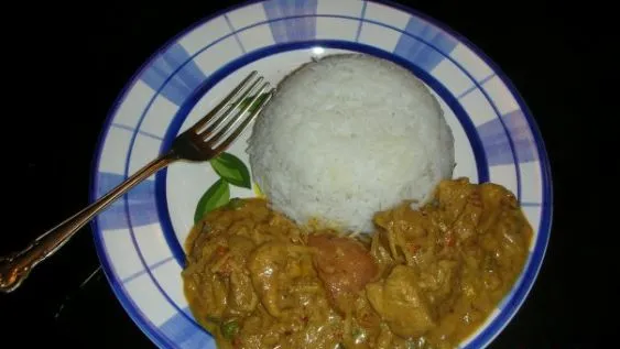 Malaysian Chicken Curry